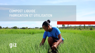 Ressource : Fabrication et utilisation du compost liquide