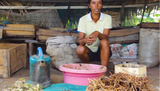 Ressource : Fabrication et utilisation du lombricompost - ProSol Madagascar
