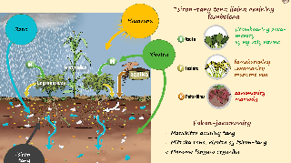 Ressource : Sol - Besoins des plantes VM - Ny tany sy ny filan'ny zava-maniry