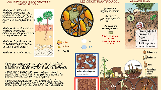Ressource : Le fonctionnement du sol