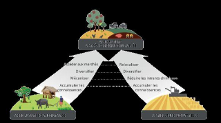 Ressource : L’agroécologie dans le Programme global « Protection et réhabilitation des sols pour la sécurité alimentaire - ProSol »