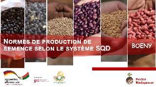 Ressource : Normes de production de semence selon le système SQD
