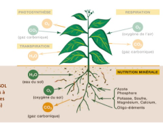 Ressource : Compendium  - Module 1 : Connaître le sol et ses dégradations
