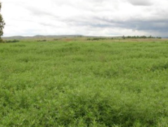 Ressource : Compendium  -  Module 6: Gestion Intégrée de l’Agriculture et de l’Elevage (GIAE)