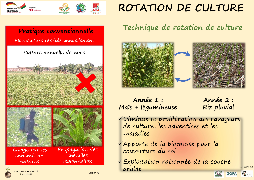 Ressource : Poster - Technique et rotation de culture