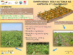 Ressource : Poster - Fampivadiam-boly katsaka, apemba sy legiomineza