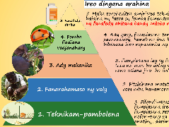 Ressource : Ireo fomba entina miady amin'ireo bibikely mpanimba ny voly