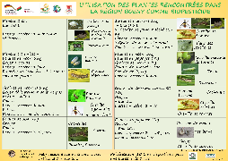 Ressource : Utilisation des plantes rencontrées dans la région Boeny comme biopesticide
