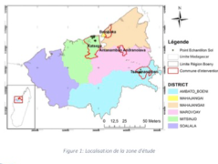 Ressource : Etude d’impact des cultures fourragères sur le bilan carbone des systèmes de pâturage de bovin dans la région Boeny