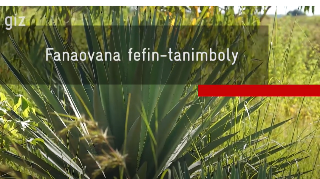 Ressource : Fanaovana Fefy tanimboly VM