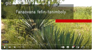 Ressource : Fanaovana Fefy tanimboly
