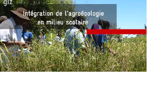 Ressource : AGROECOLOGIE EN MILIEU SCOLAIRE - BOENY