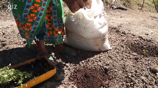 Ressource : TECHNIQUE SUR L'UTILISATION DE FUMIER - MADAGASCAR