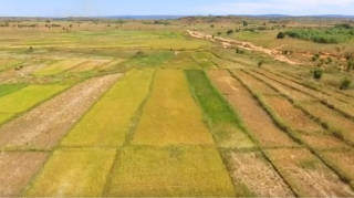 Ressource : ProSoL Madagascar apporte son appui technique dans réhabilitation des sols à Boeny