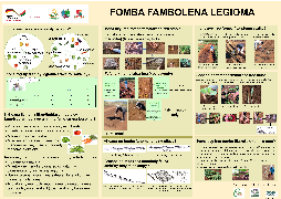 Ressource : FIAROVANA NY VOLY LEGIOMA AMIN’NY  FOMBA ARA-VOAJANAHARY