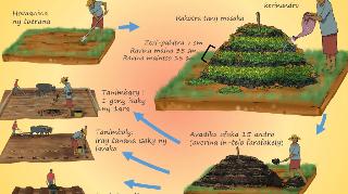 Ressource : Fertilisation