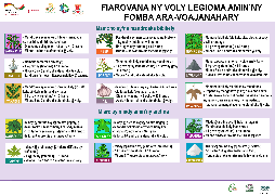 Ressource : culture maraichère Ady Gasy