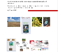 Ressource : Rapport_Appui conseil sur les aspects de fertilisation des sols_Autfray_Cirad