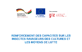 Ressource : CC PROSILIENCE Rapport de formation_Ravageurs des cultures Androy 27_03_2024