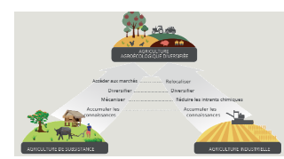 Ressource : L’agroécologie dans le Programme global « Protection et réhabilitation des sols pour la sécurité alimentaire - ProSol »