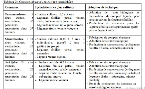 Ressource : Maraîchage et arboriculture fruitière