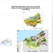 Ressource : Etude d’impact des cultures fourragères sur le bilan carbone des systèmes de pâturage de bovin dans la région Boeny