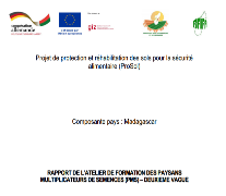 Ressource : Rapport de l'atelier de formation des paysans multiplicateurs de semences (PMS) – Vague 2