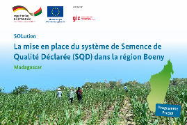 Ressource : La mise en place du système de Semence de Qualité Déclarée dans la région de Boeny