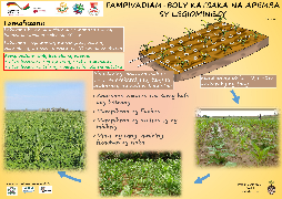 Ressource : Association Céréale Légumineuse