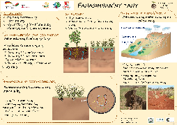 Ressource : Formes de dégradation du sol