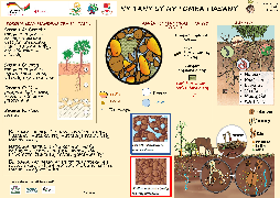 Ressource : Fonctionnement du sol