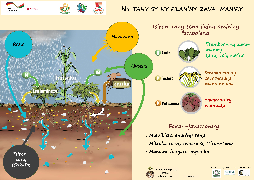 Ressource : Besoins des plantes