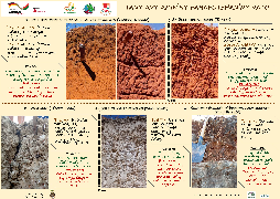 Ressource : Catalogue des sols d'origine rocheuse