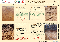 Ressource : Catalogue des sols d'origine par dépôt