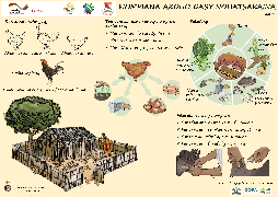 Ressource : Akoho Gasy Nohatsaraina