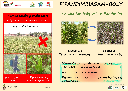 Ressource : Rotations culturales
