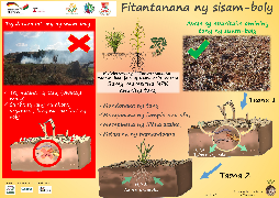 Ressource : Résidus de récolte