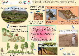 Ressource : Reboisement des parties sommitales