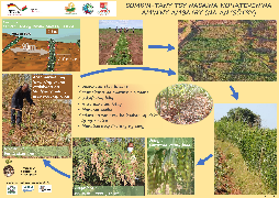 Ressource : Bande enherbée enrichie de pois d’Angole