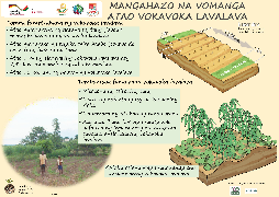 Ressource : Culture en billon