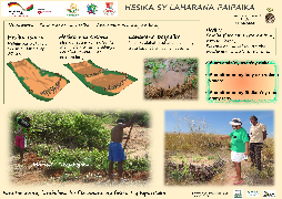 Ressource : Fascines