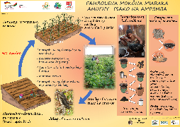 Ressource : Association de culture sorgho/maïs-mucuna