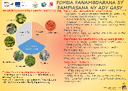 Ressource : Ady gasy