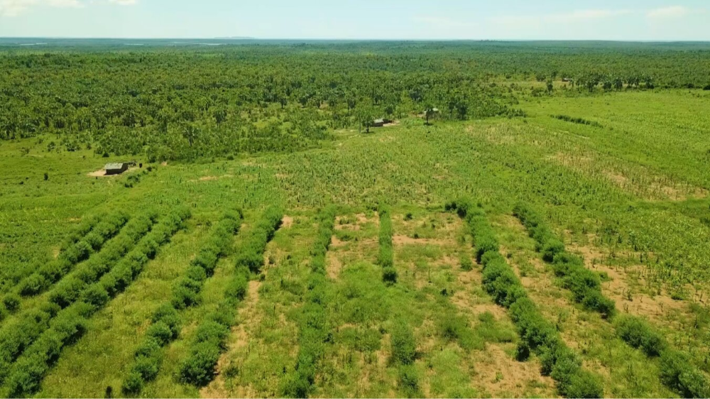 Photo : Projet ProSol : Protection et de réhabilitation des Sols pour améliorer la sécurité alimentaire