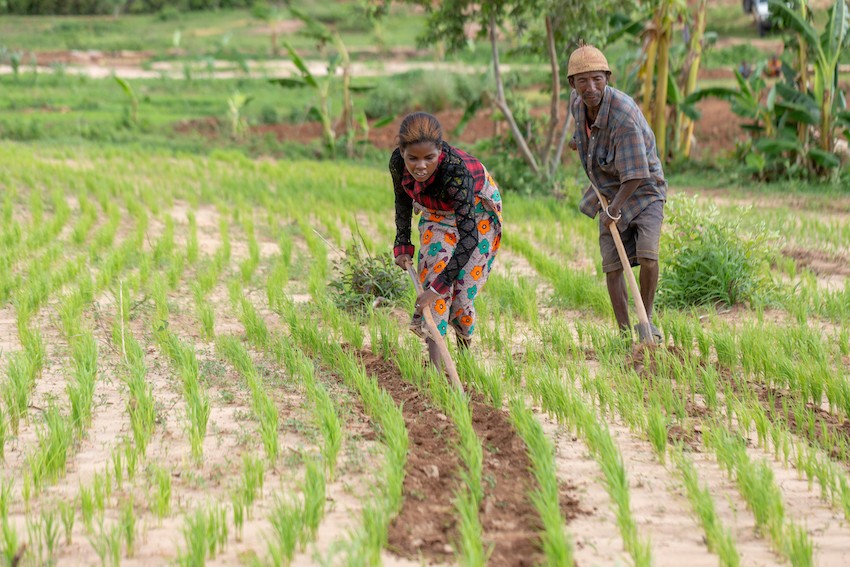 Photo 3 - Bénéficiaires du Projet ProSol