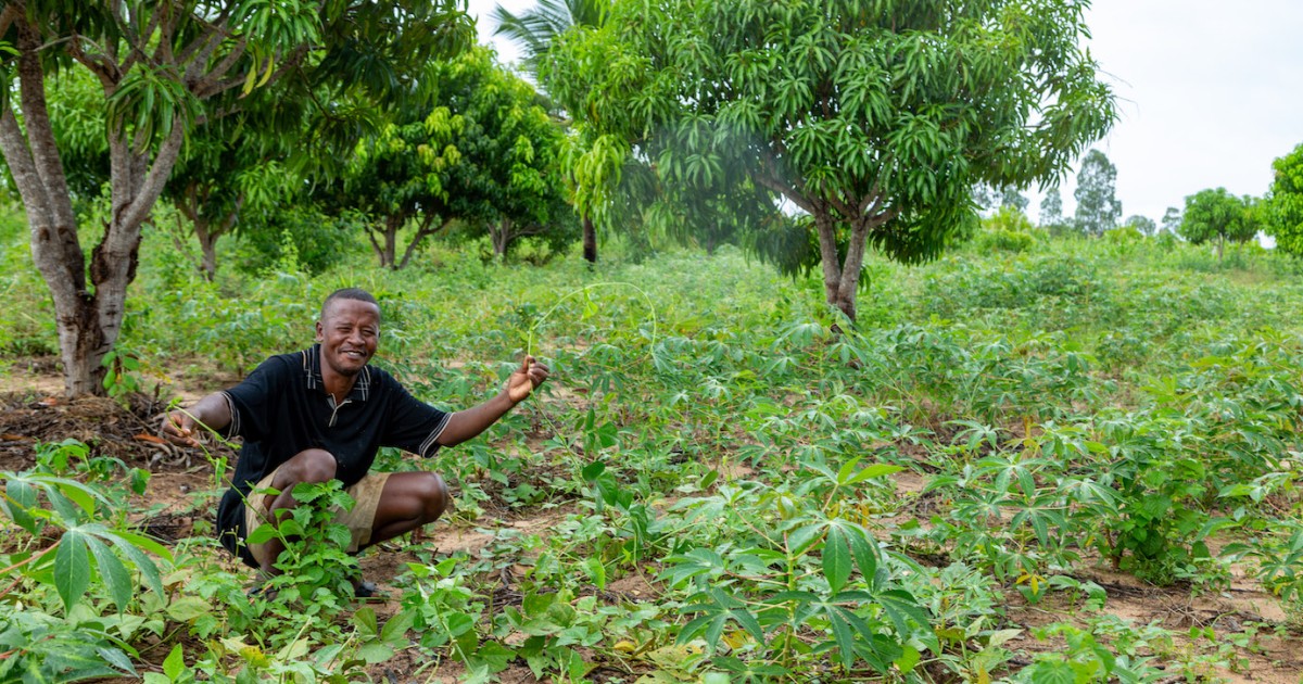 Photo 4 - Bénéficiaires du Projet ProSol