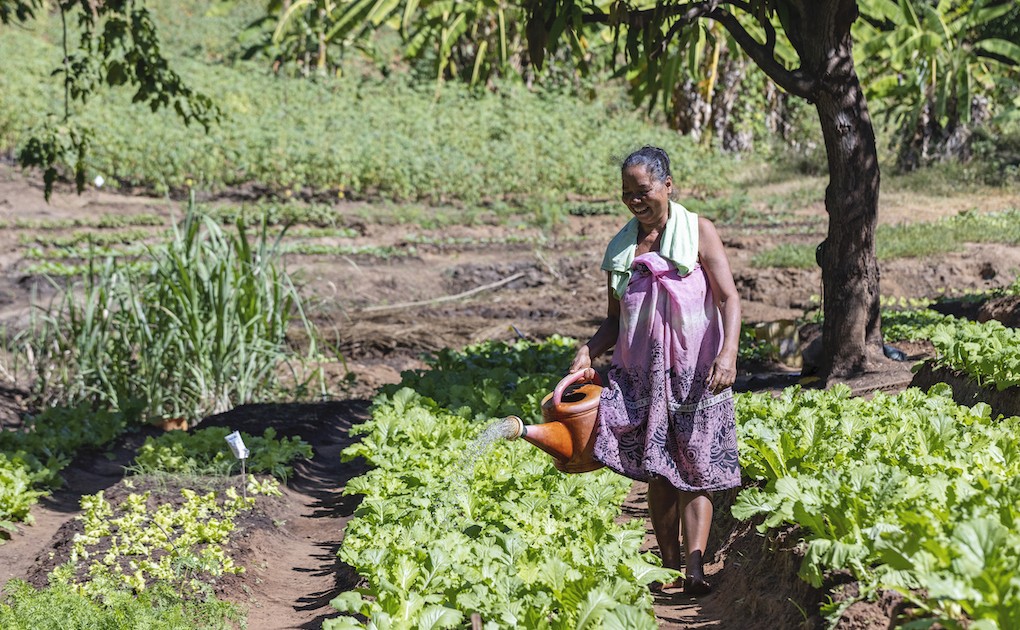 Photo 8 - Bénéficiaires du Projet ProSol