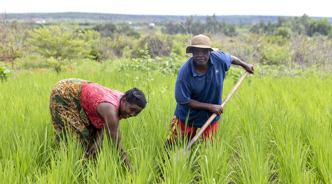 Photo 11 - Bénéficiaires du Projet ProSol