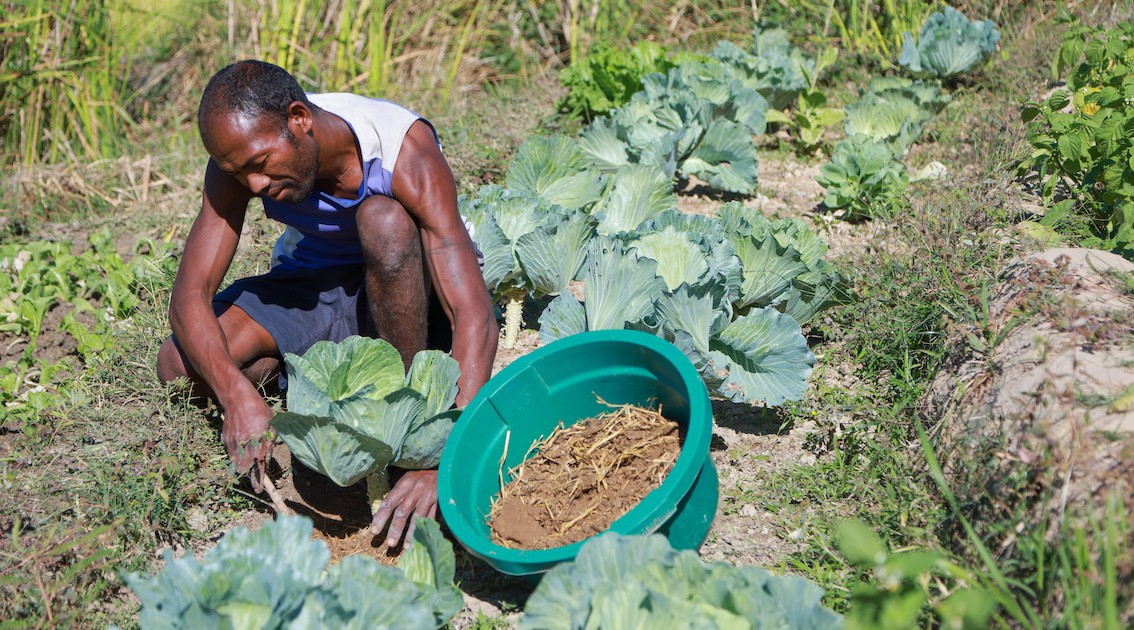 Photo 12 - Bénéficiaires du Projet ProSol