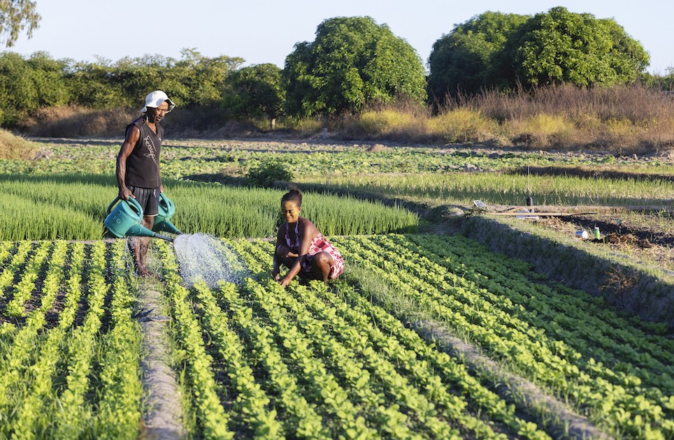 Photo 13 - Bénéficiaires du Projet ProSol